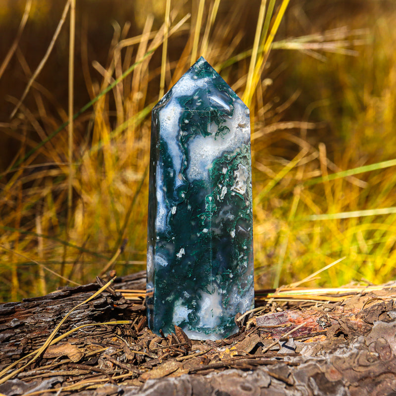 Moss Agate Point