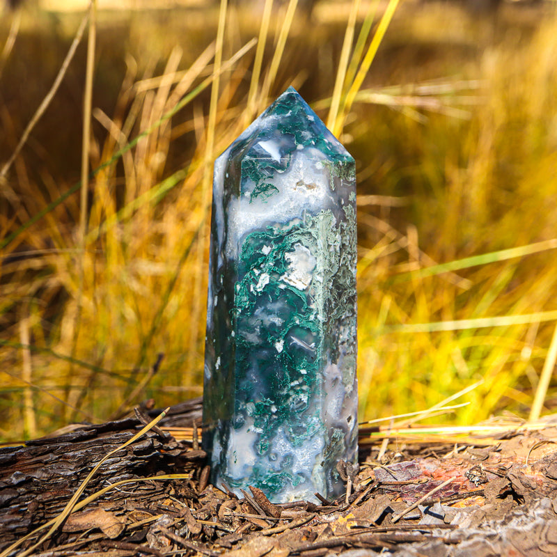 Moss Agate Point