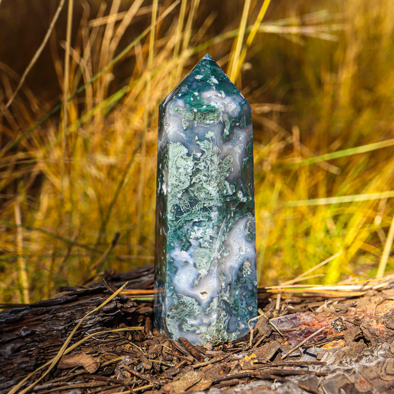 Moss Agate Point