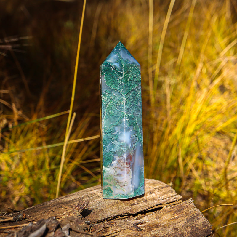 Moss Agate Point