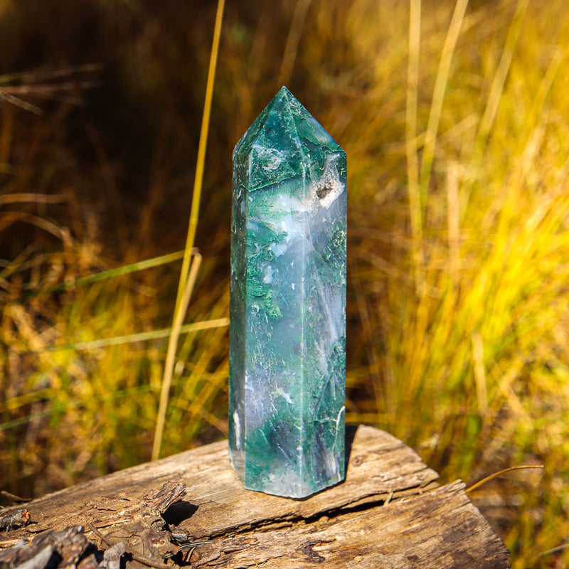 Moss Agate Point