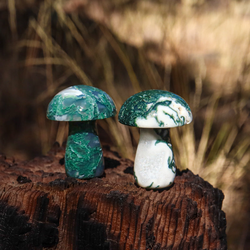 Moss Agate Carved Mushroom