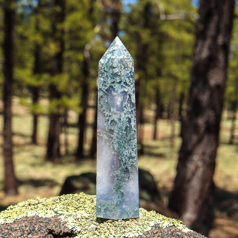 Moss Agate Point