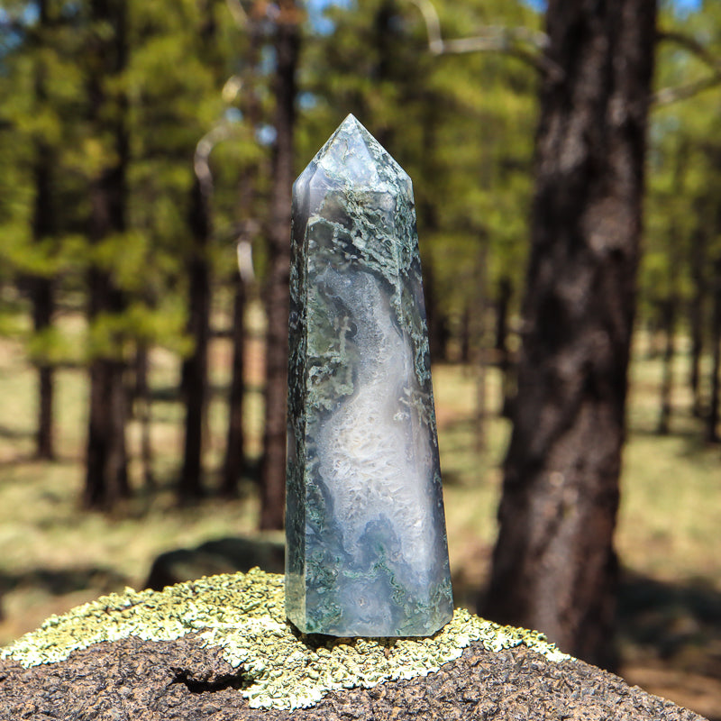 Moss Agate Point