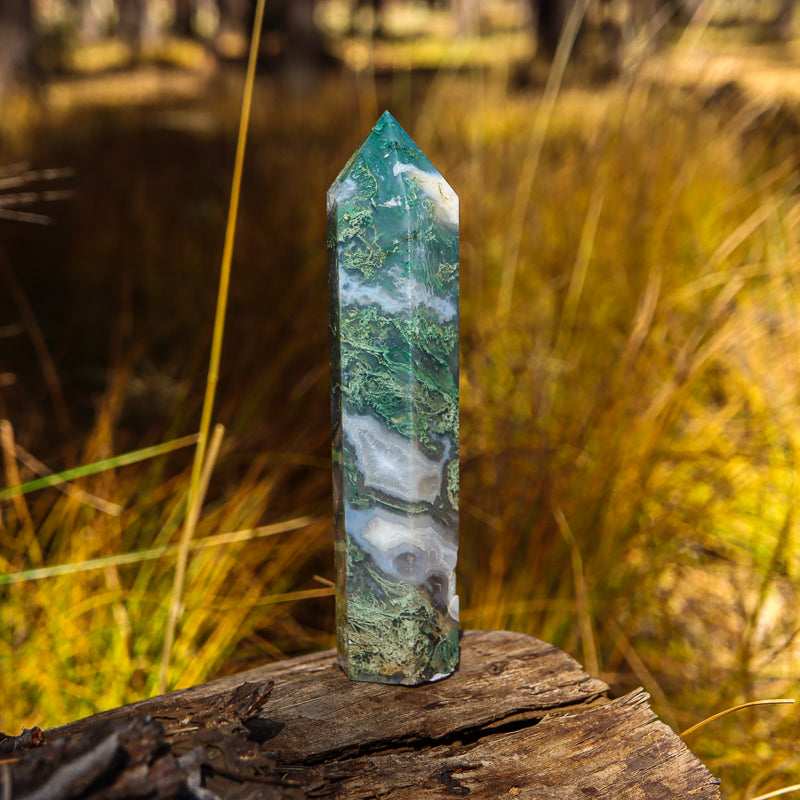 Moss Agate Point