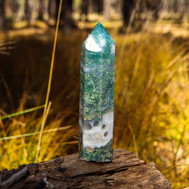 Moss Agate Point