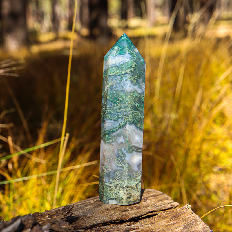 Moss Agate Point
