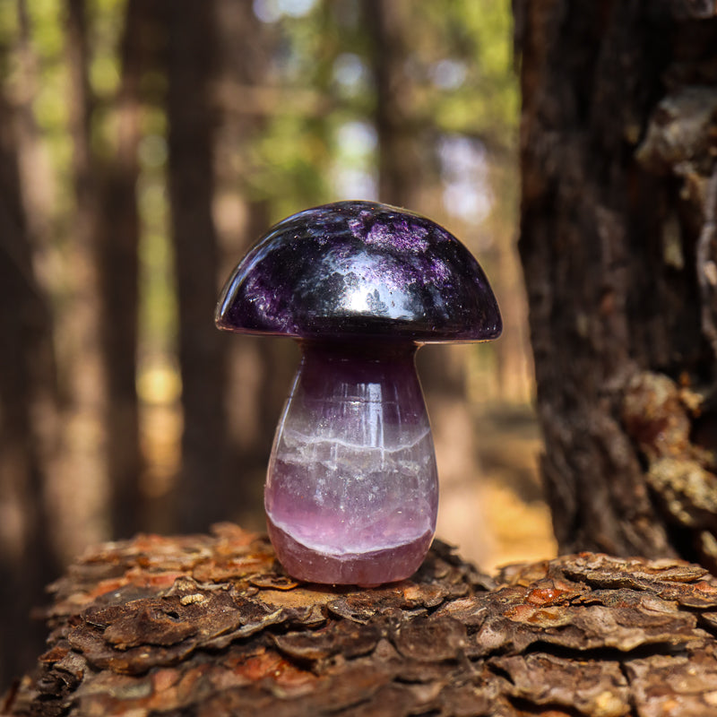 Fluorite Carved Mushroom