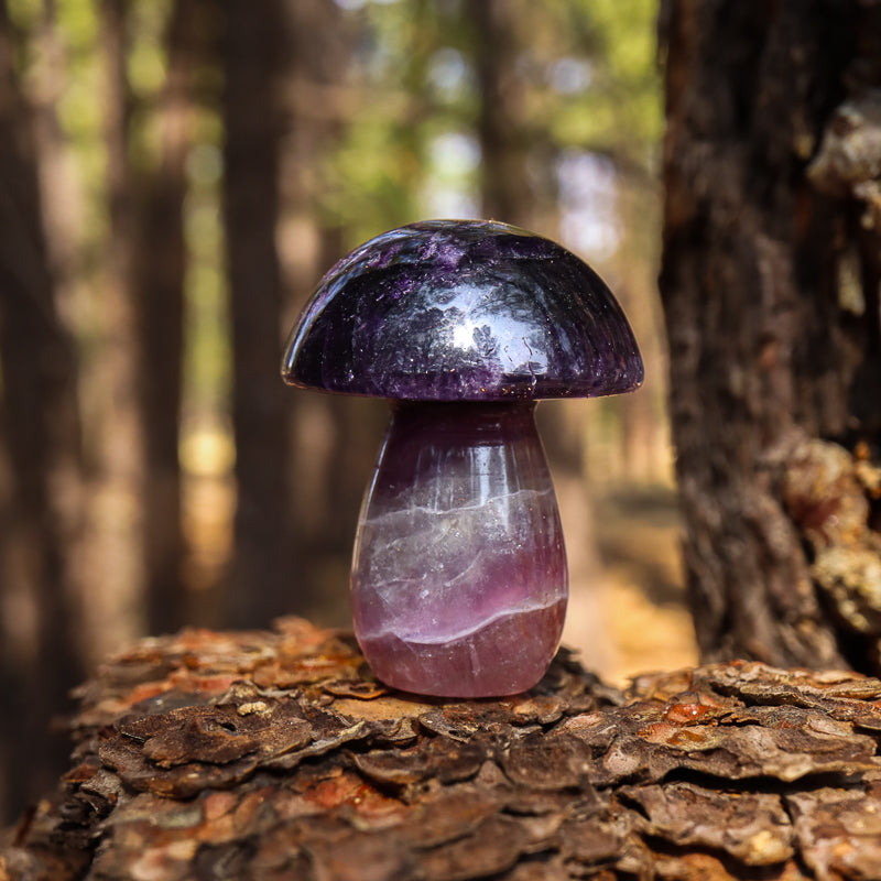 Fluorite Carved Mushroom