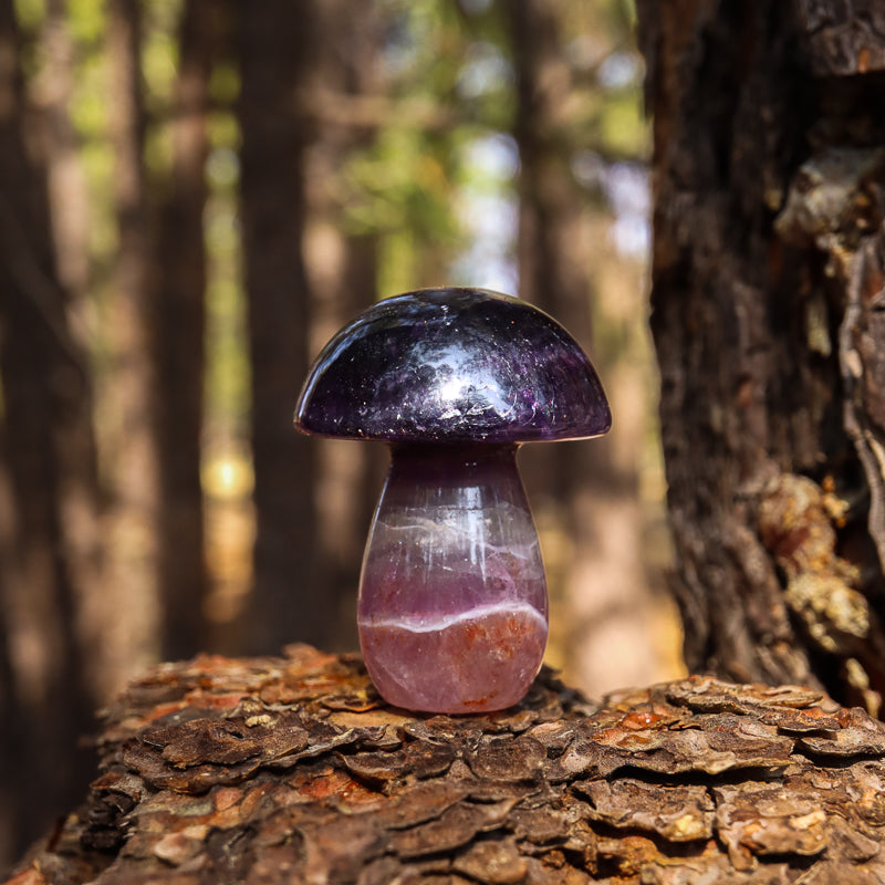 Fluorite Carved Mushroom
