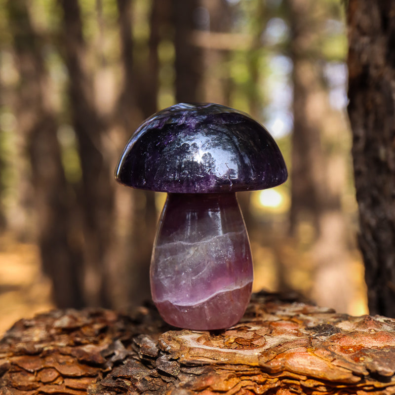 Fluorite Carved Mushroom