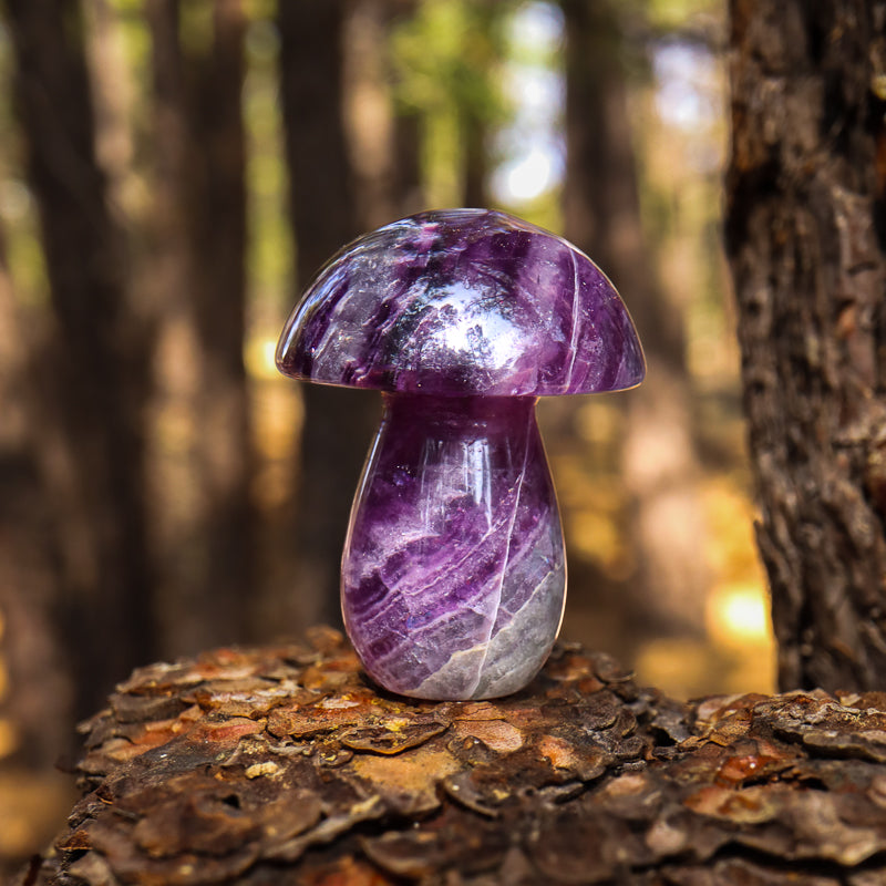 Fluorite Carved Mushroom
