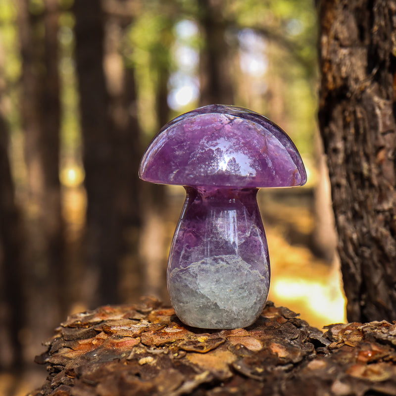 Fluorite Carved Mushroom
