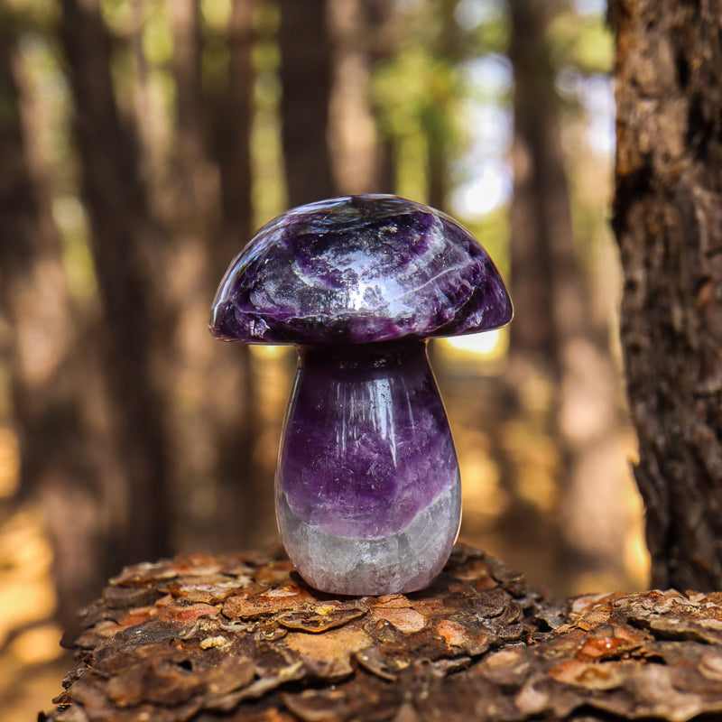 Fluorite Carved Mushroom