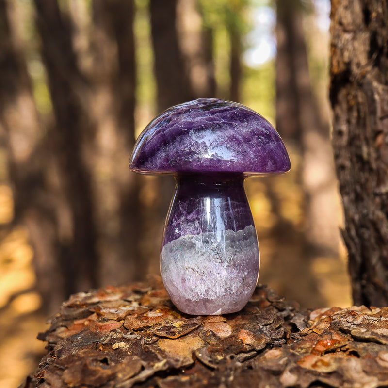 Fluorite Carved Mushroom