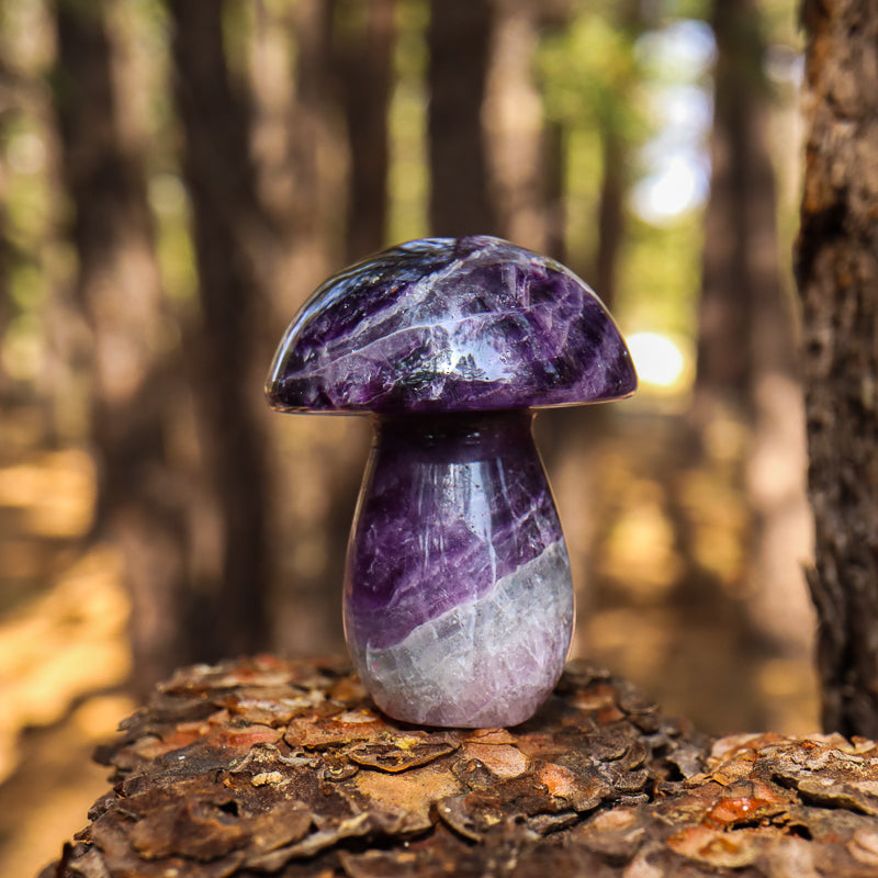 Fluorite Carved Mushroom
