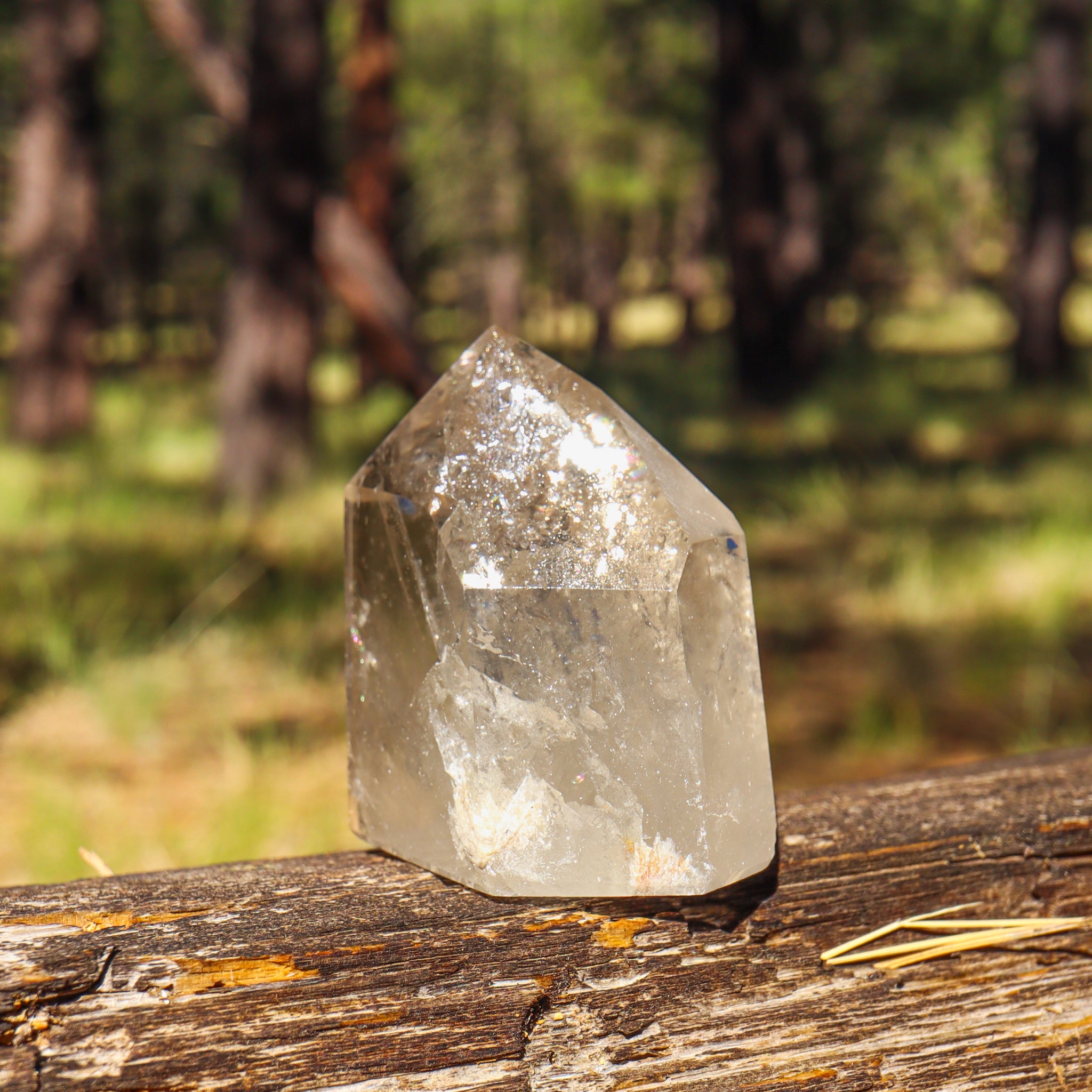 Natural Citrine Point