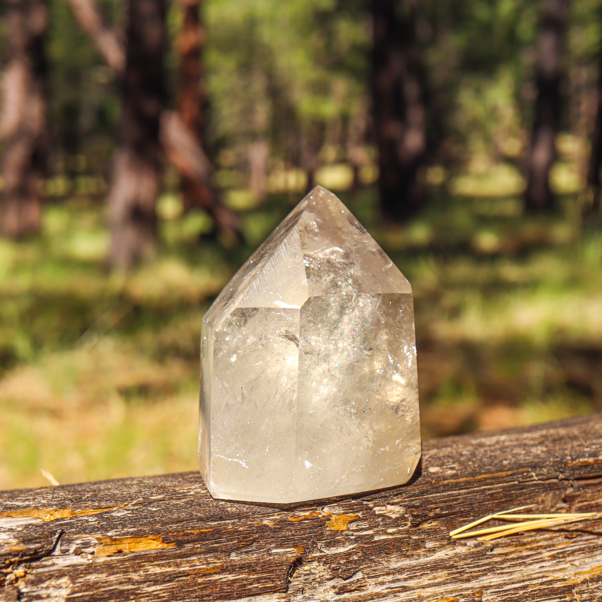 Natural Citrine Point