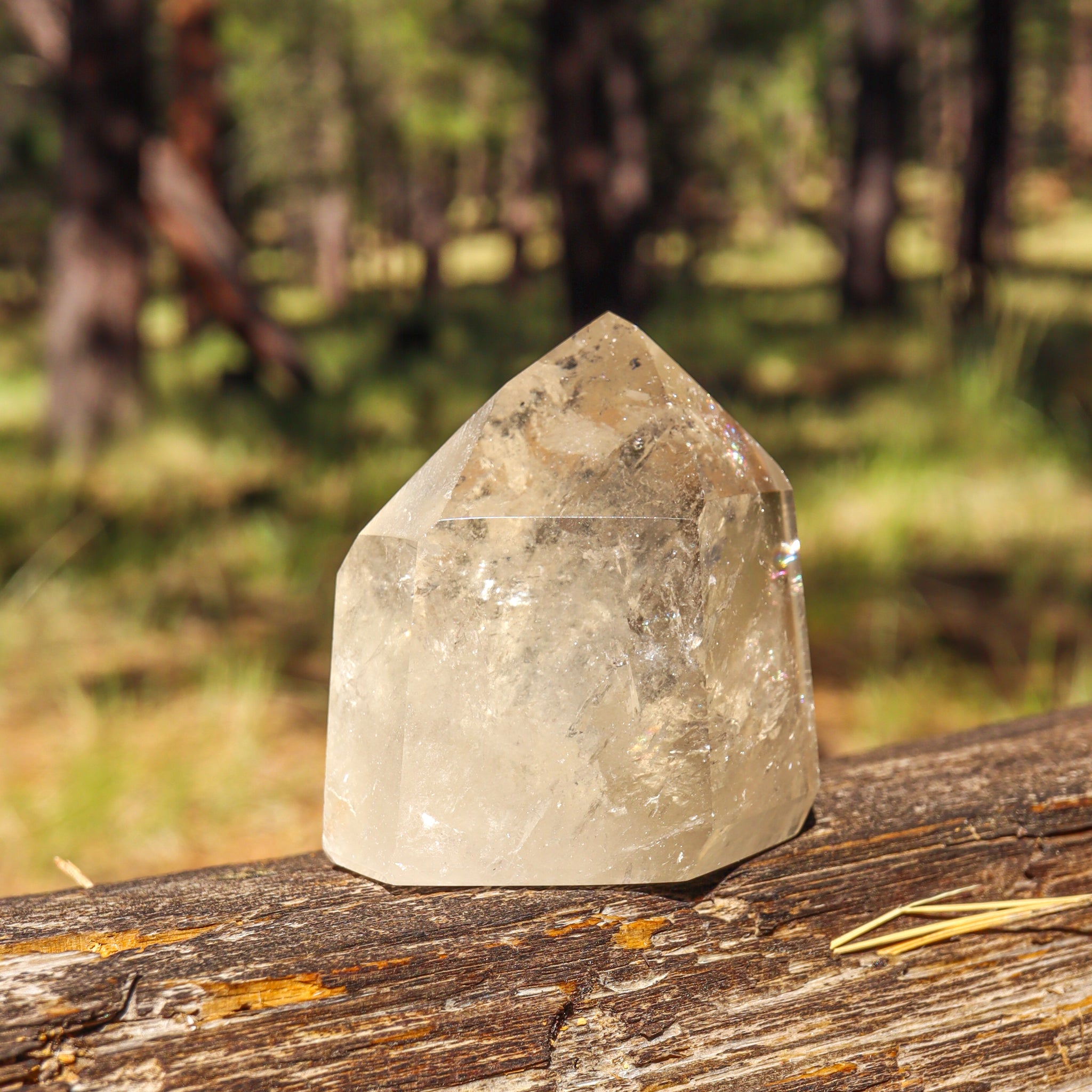 Natural Citrine Point