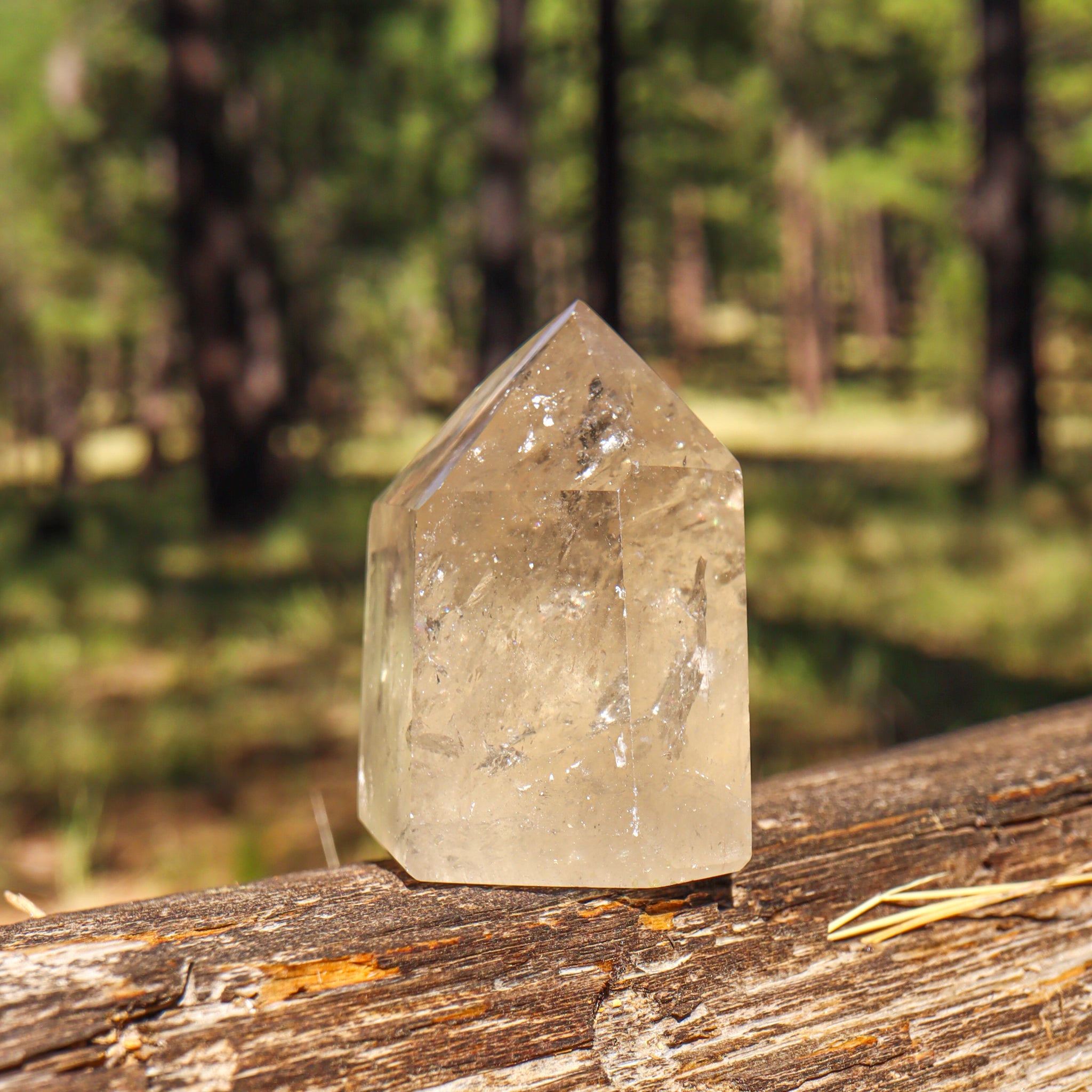 Natural Citrine Point