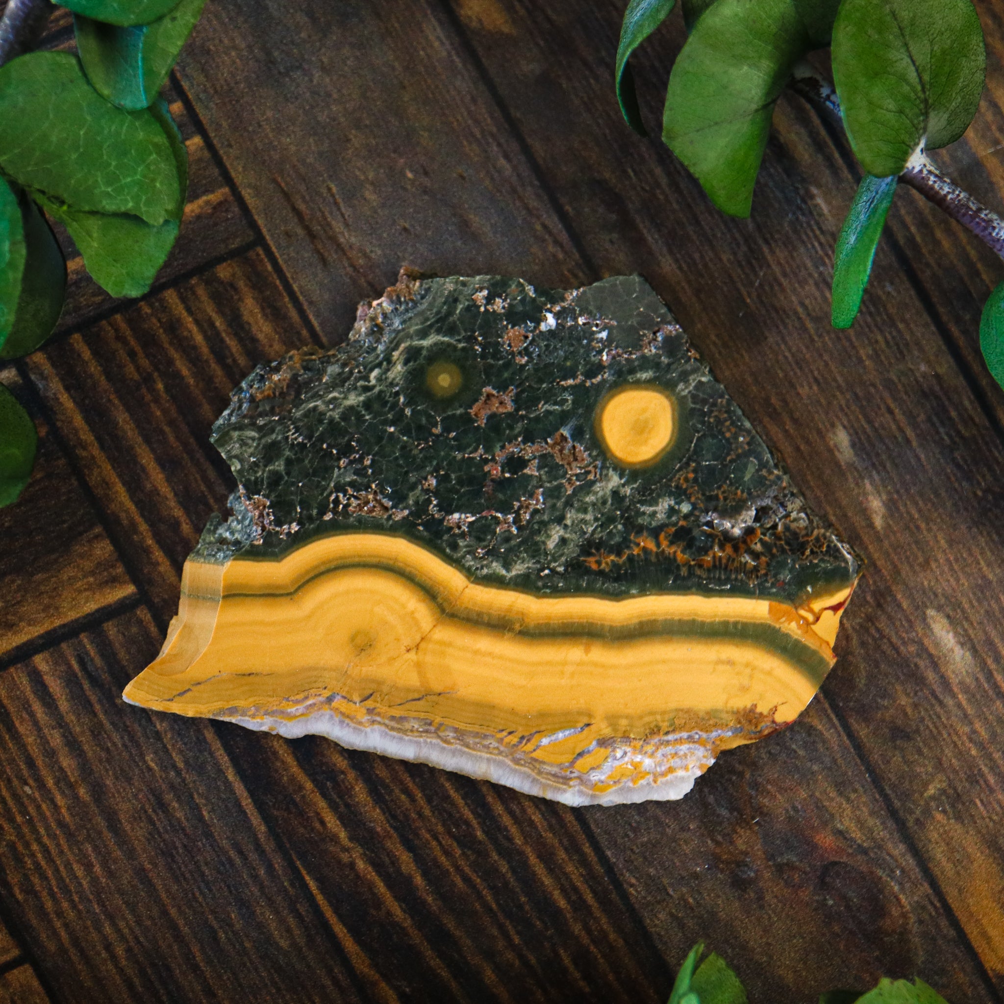 Ocean Jasper Polished Slice