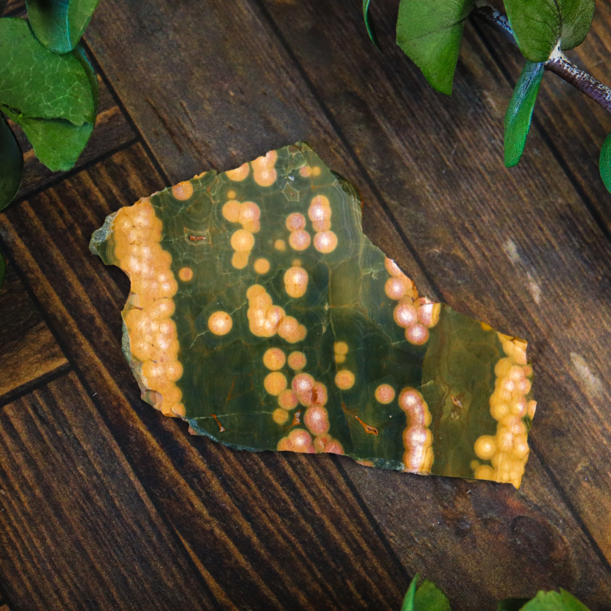 Ocean Jasper Polished Slice