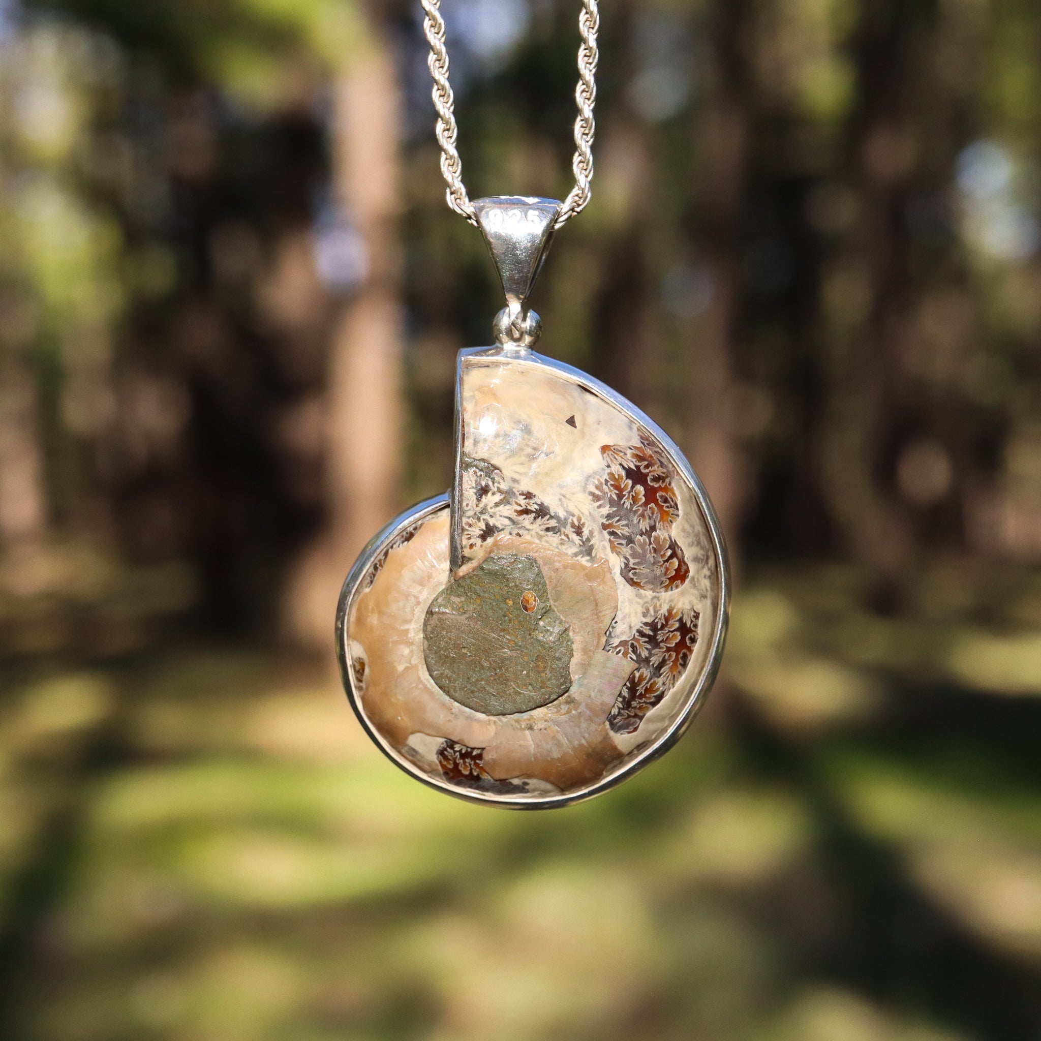 Ammonite Nautilus Pendant