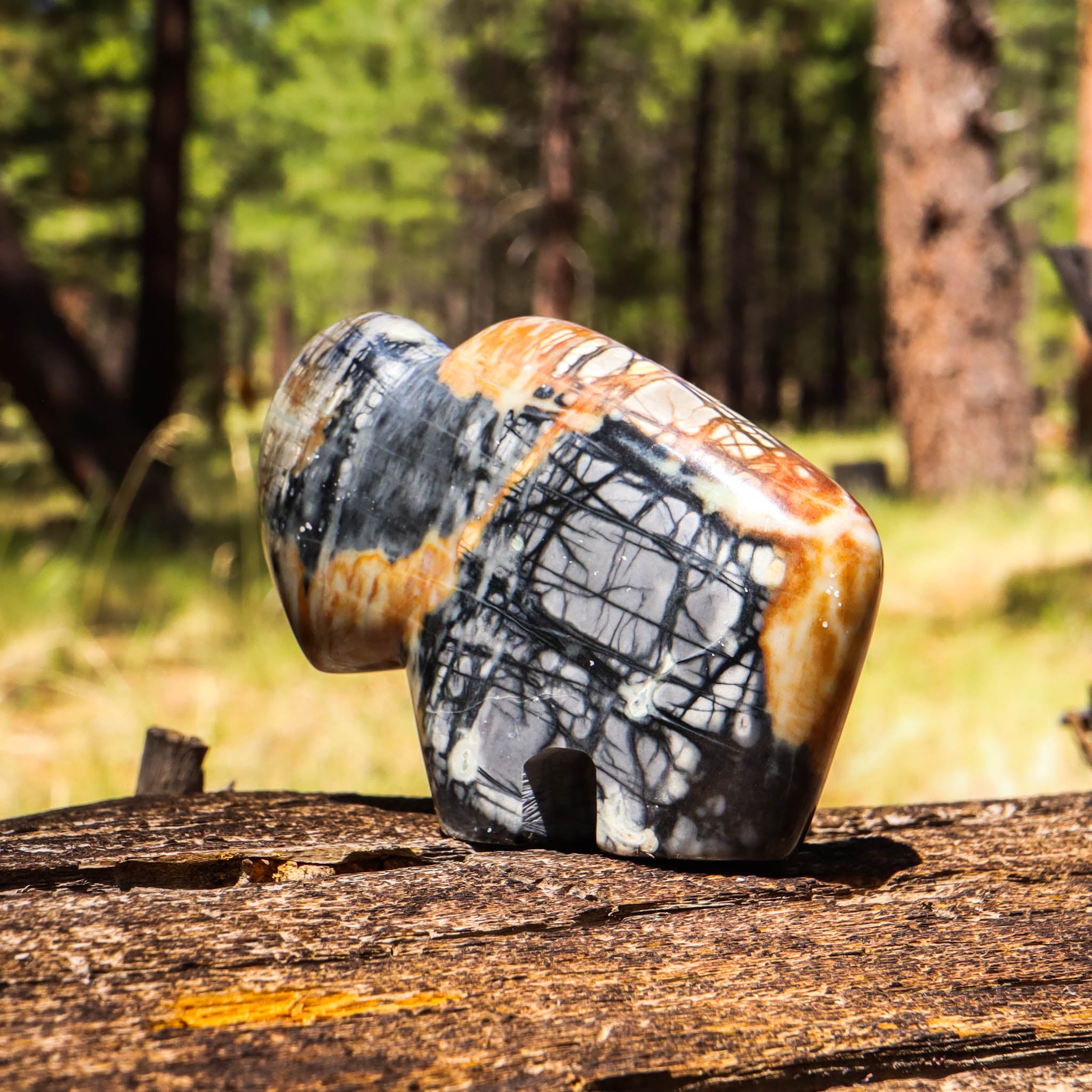 Petrified Wood Carved Buffalo