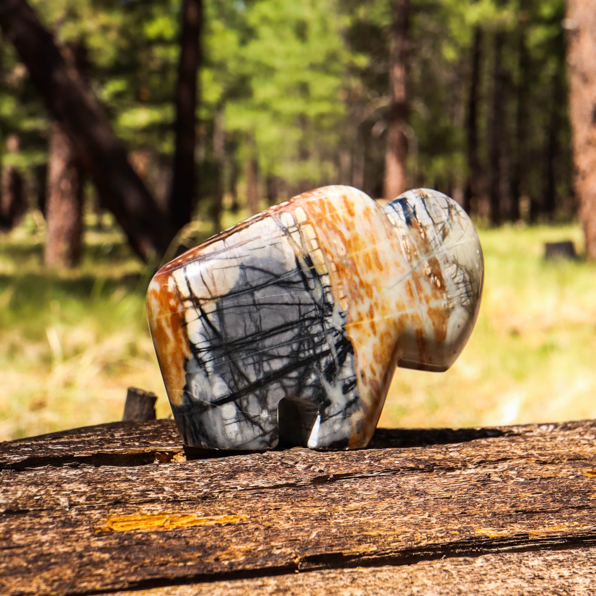 Petrified Wood Carved Buffalo