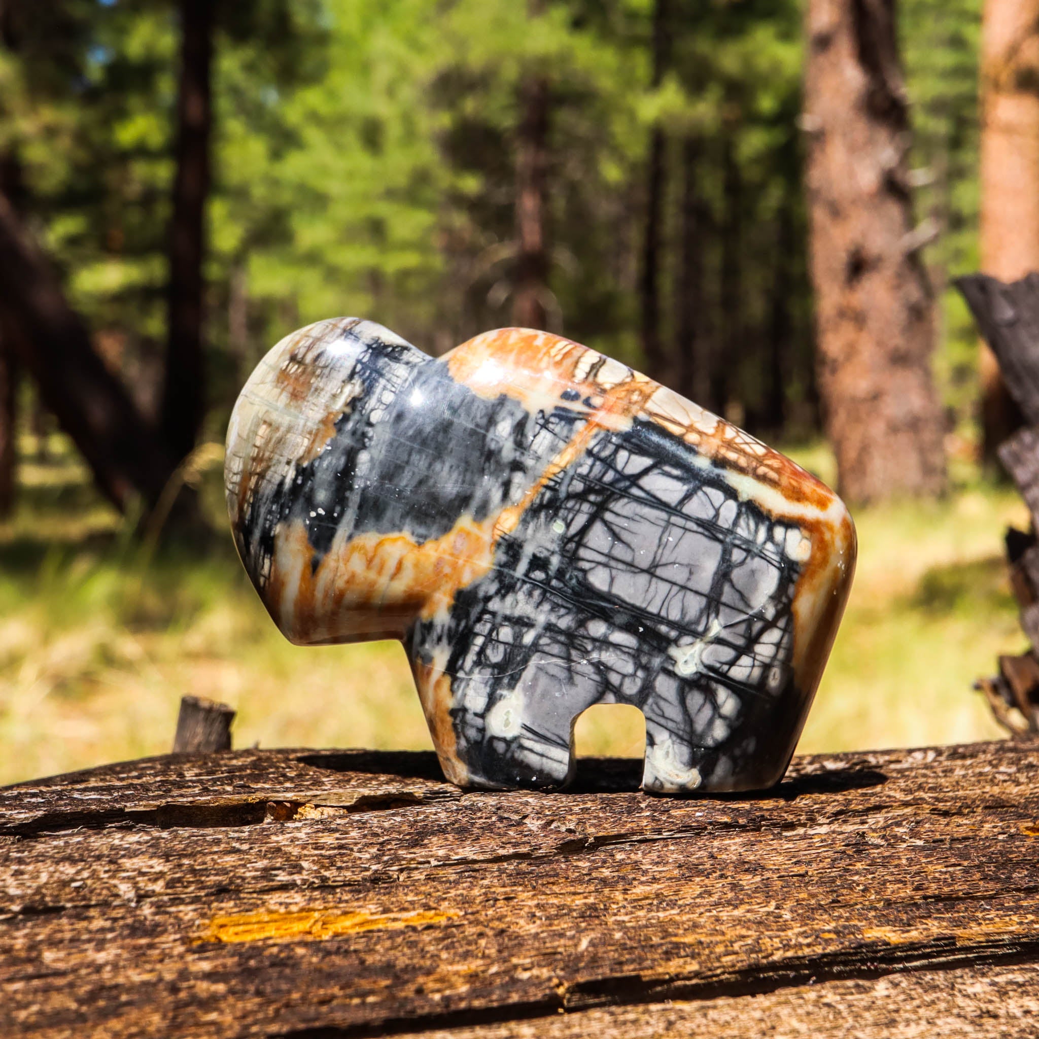 Petrified Wood Carved Buffalo