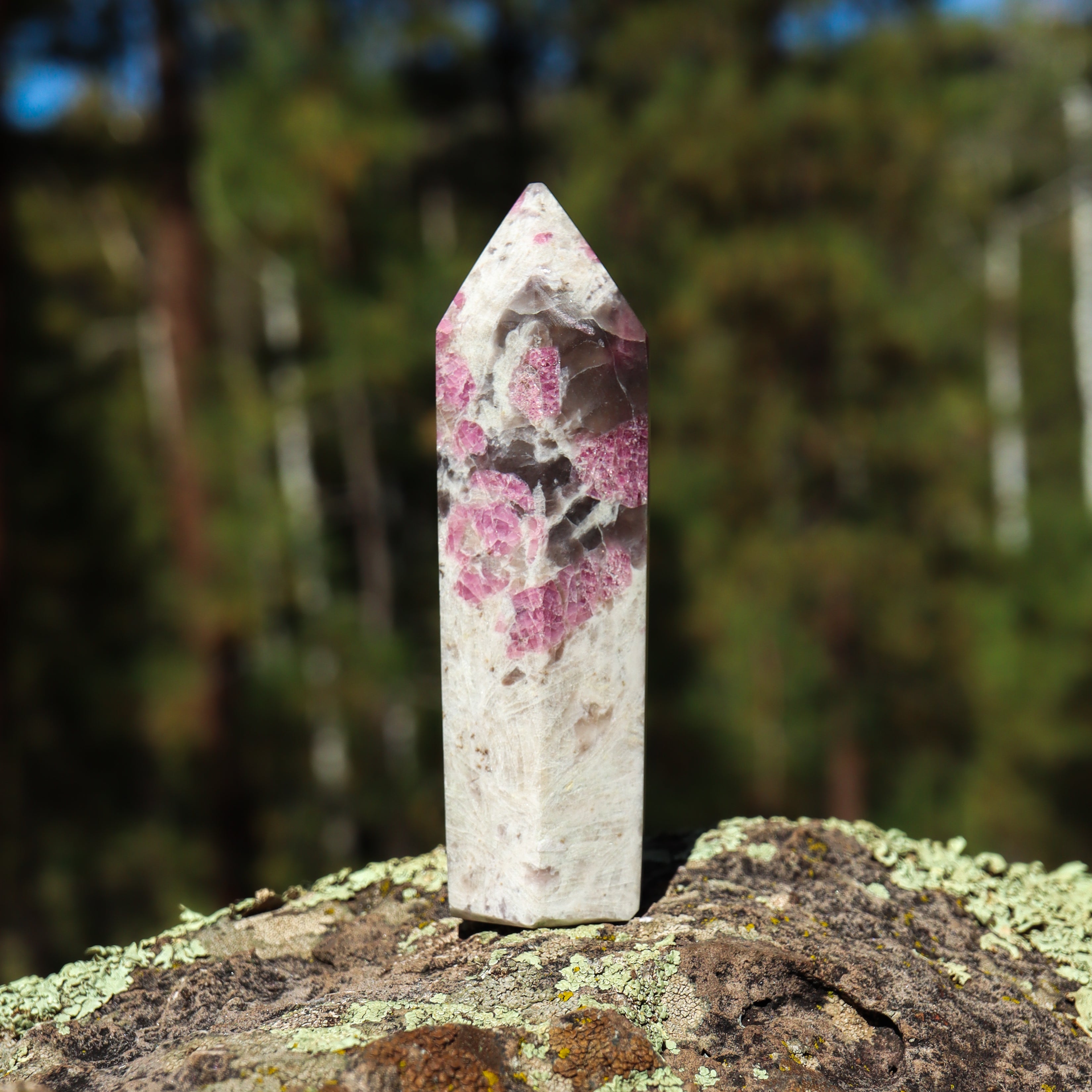 Pink Tourmaline in Matrix Point