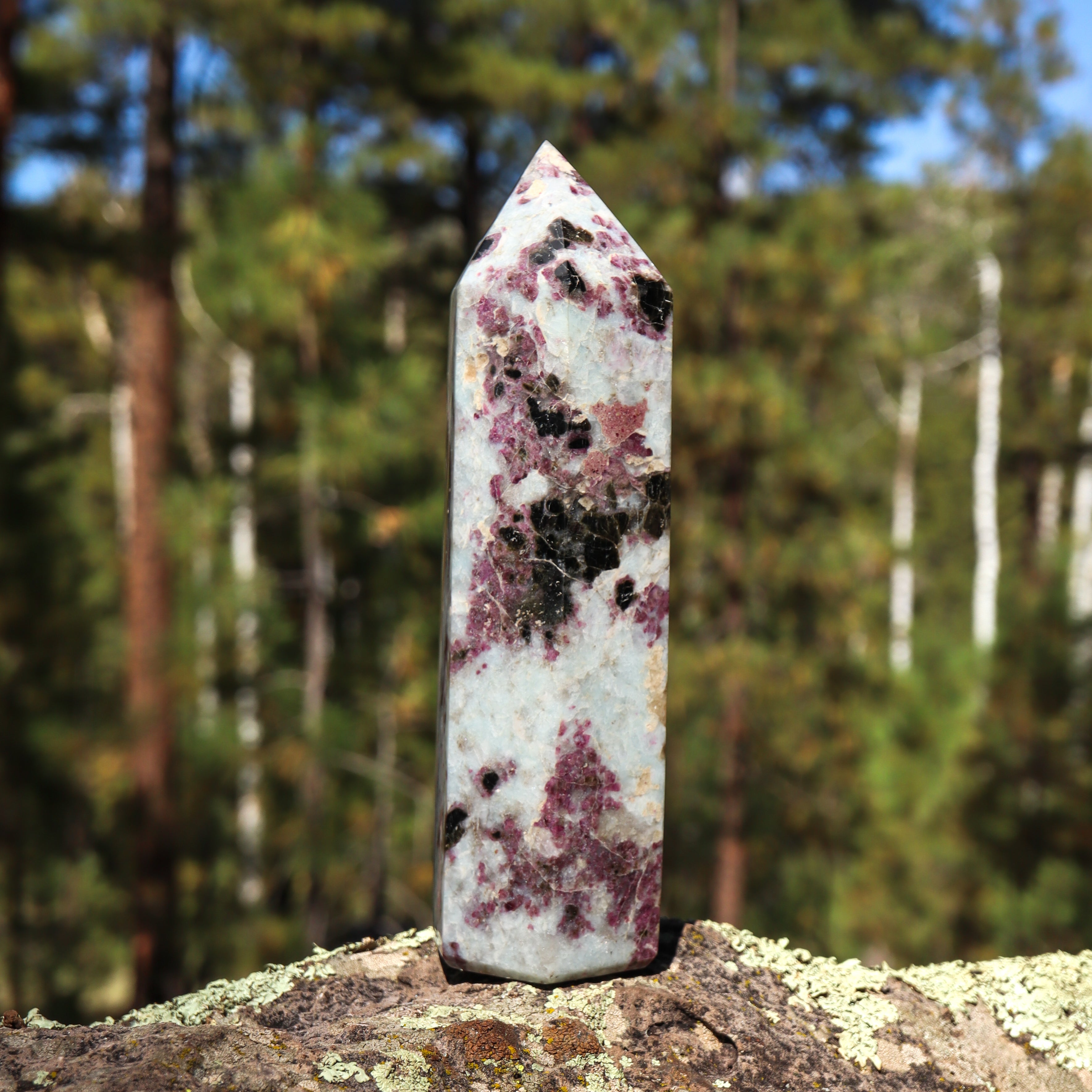 Pink Tourmaline in Matrix Point