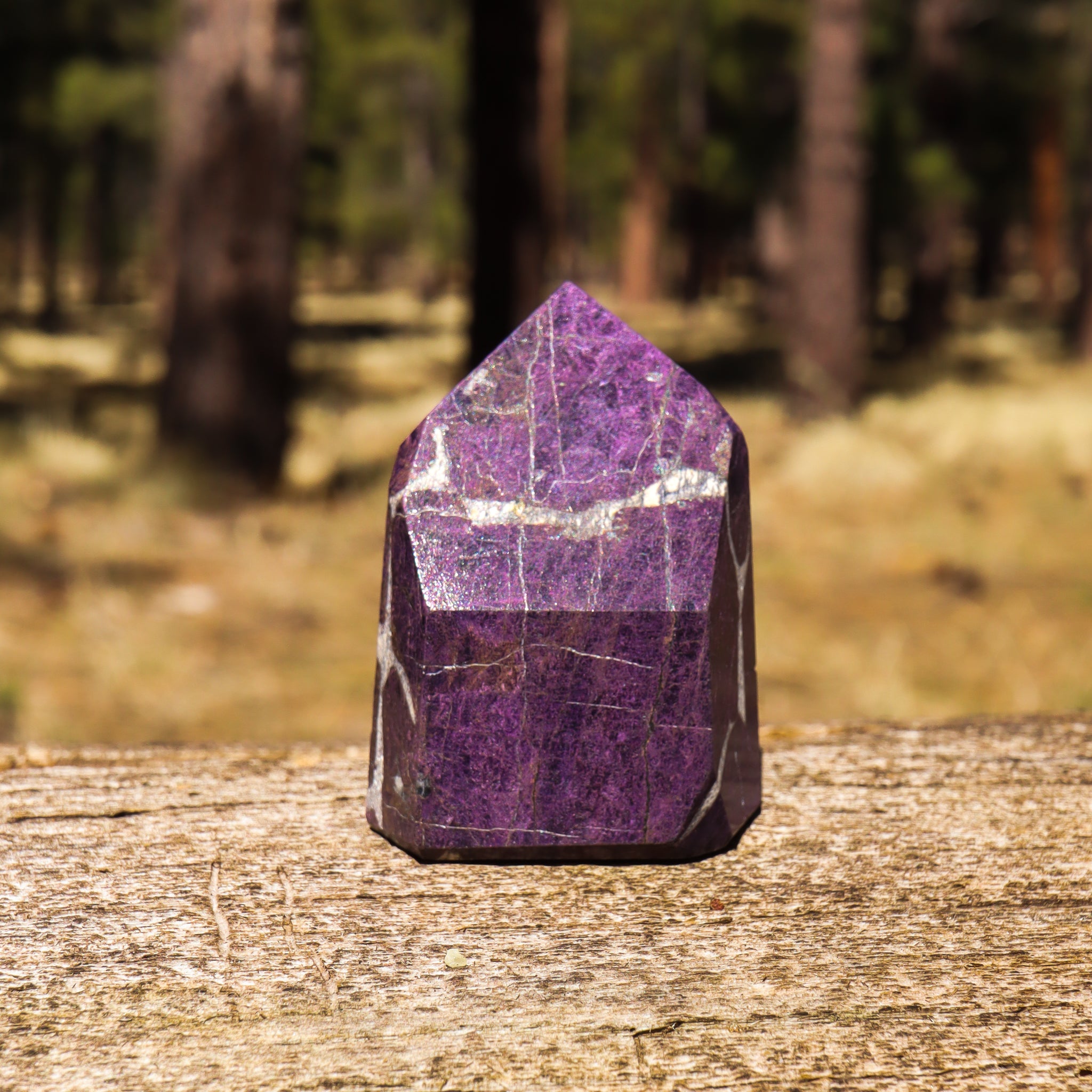 Purpurite Point
