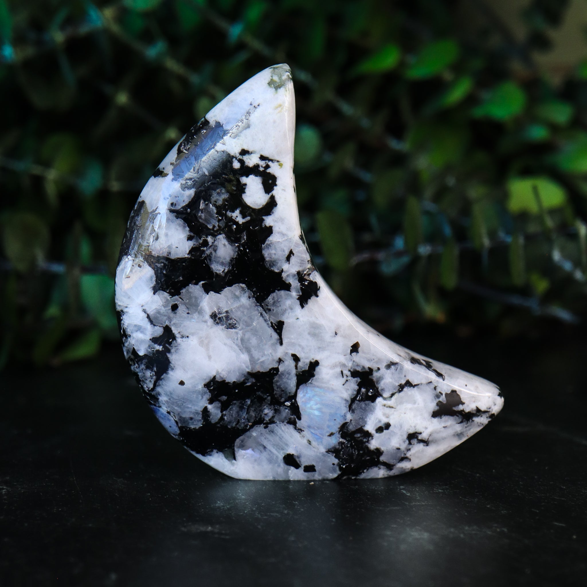 Rainbow Moonstone Carved Moon