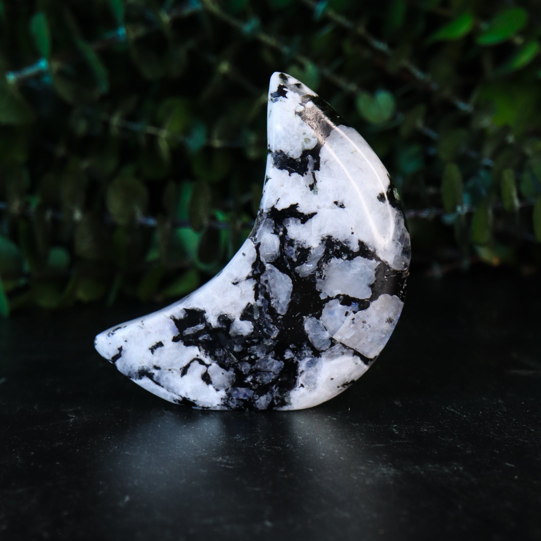 Rainbow Moonstone Carved Moon