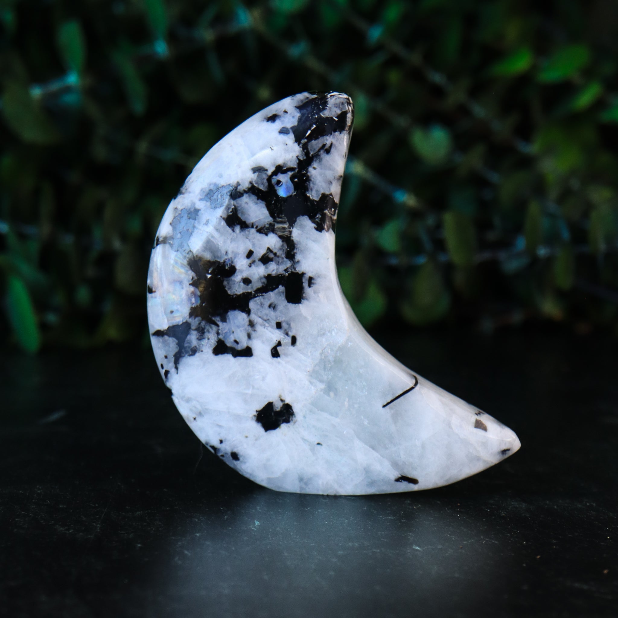 Rainbow Moonstone Carved Moon