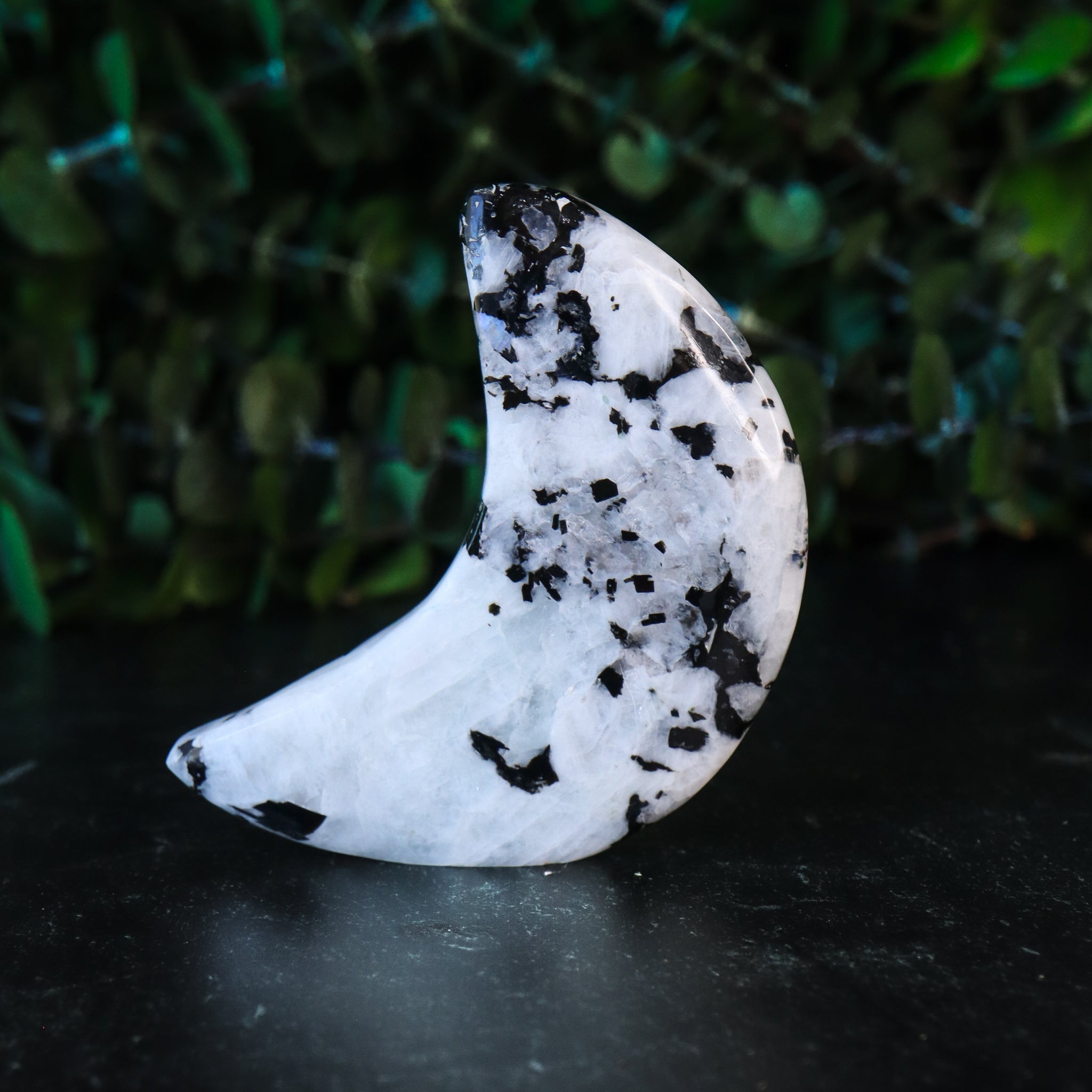 Rainbow Moonstone Carved Moon