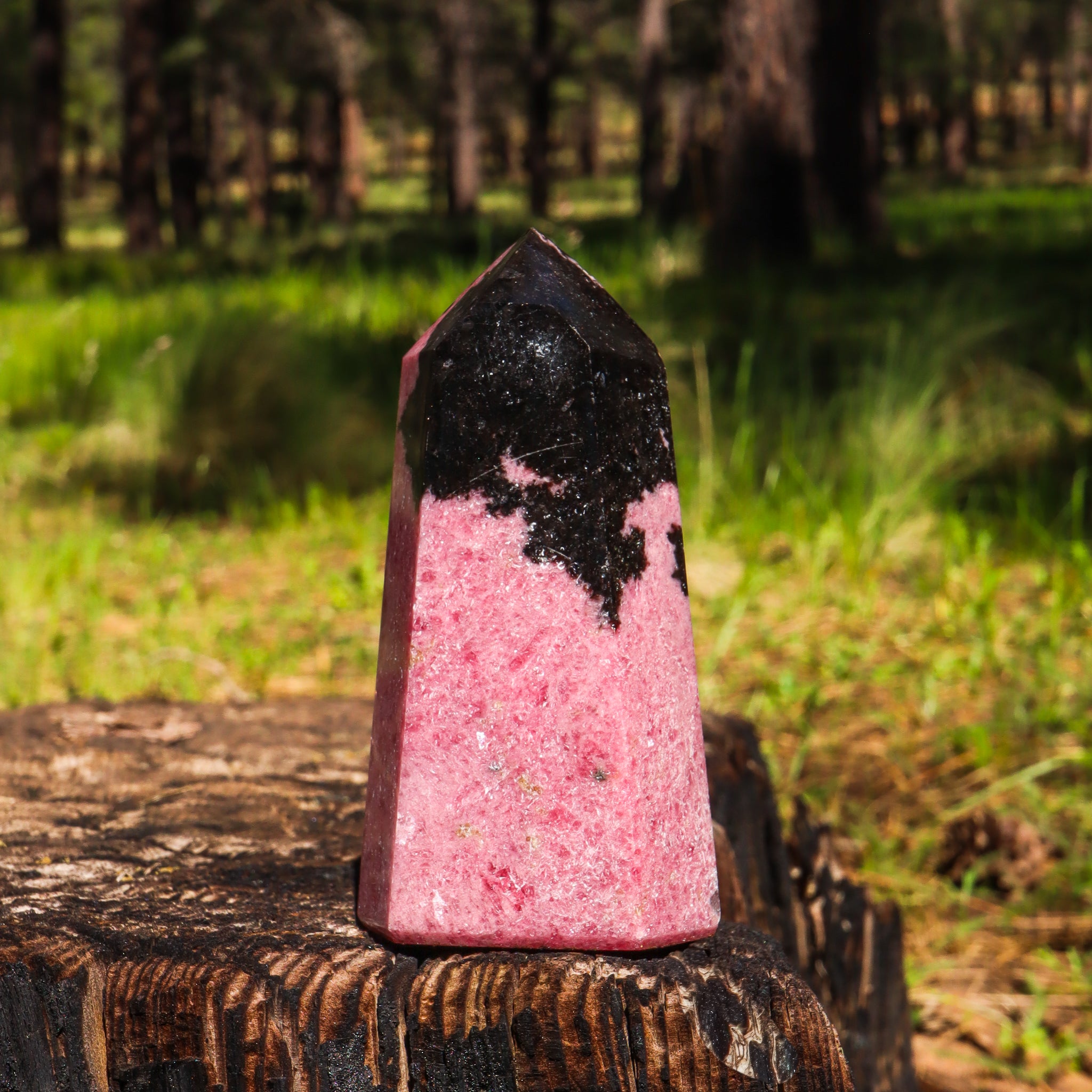 Large Rhodonite Point