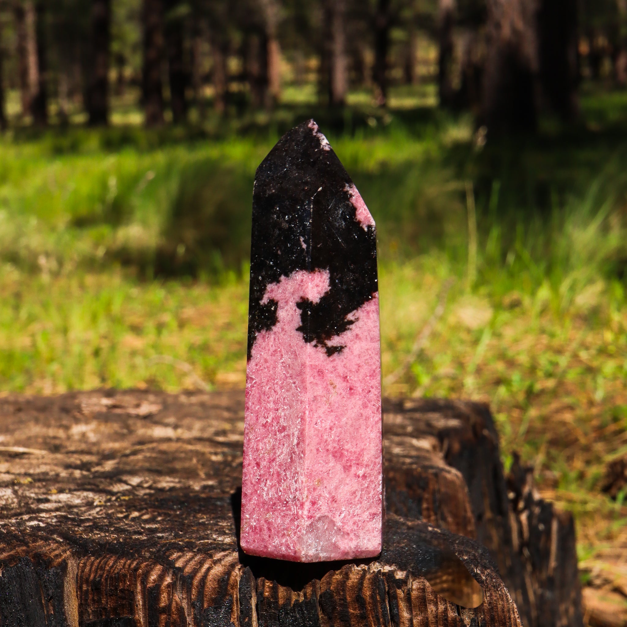 Large Rhodonite Point