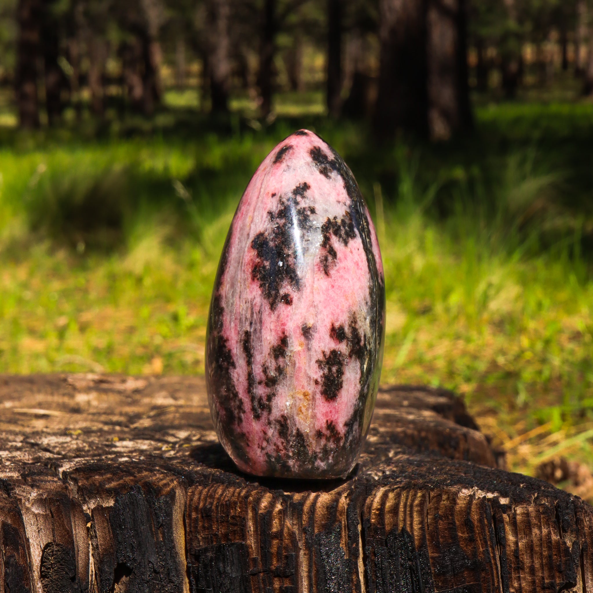 Rhodonite Free Form