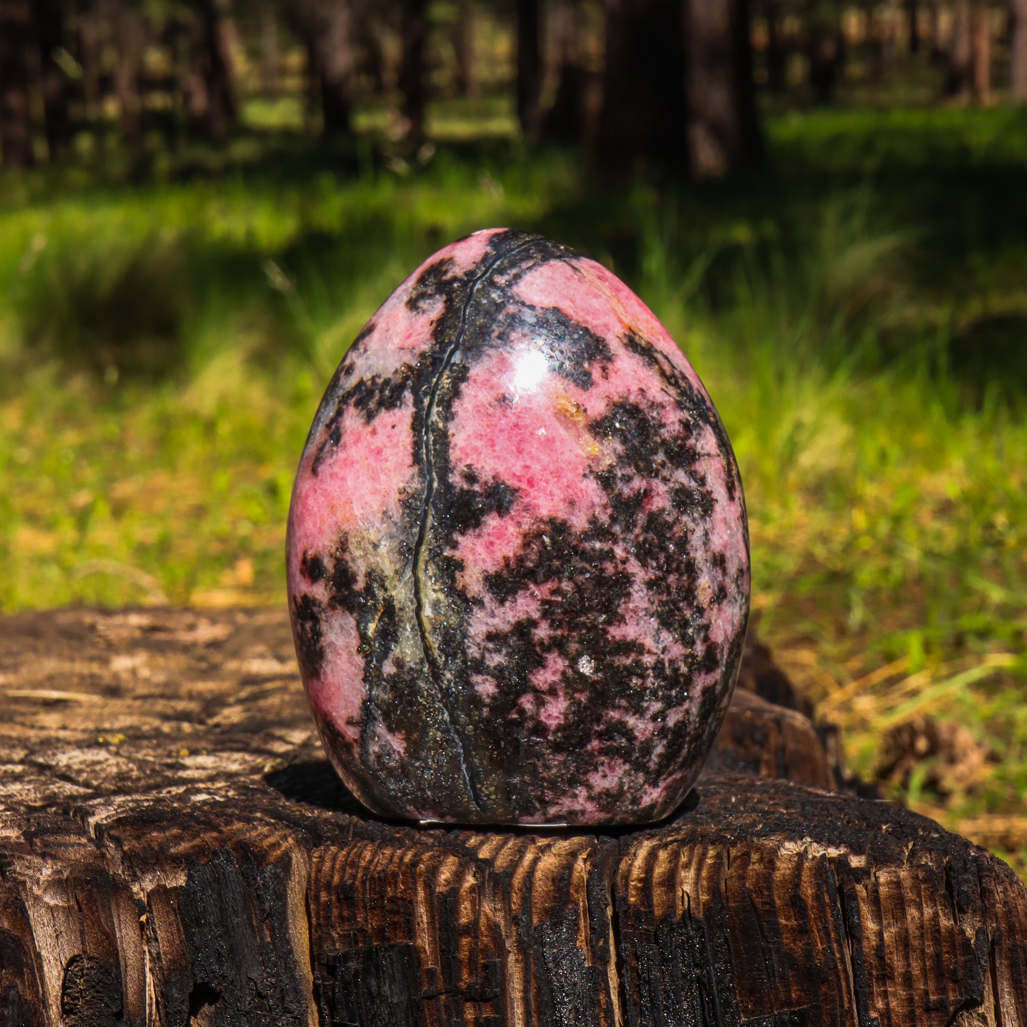Rhodonite Free Form