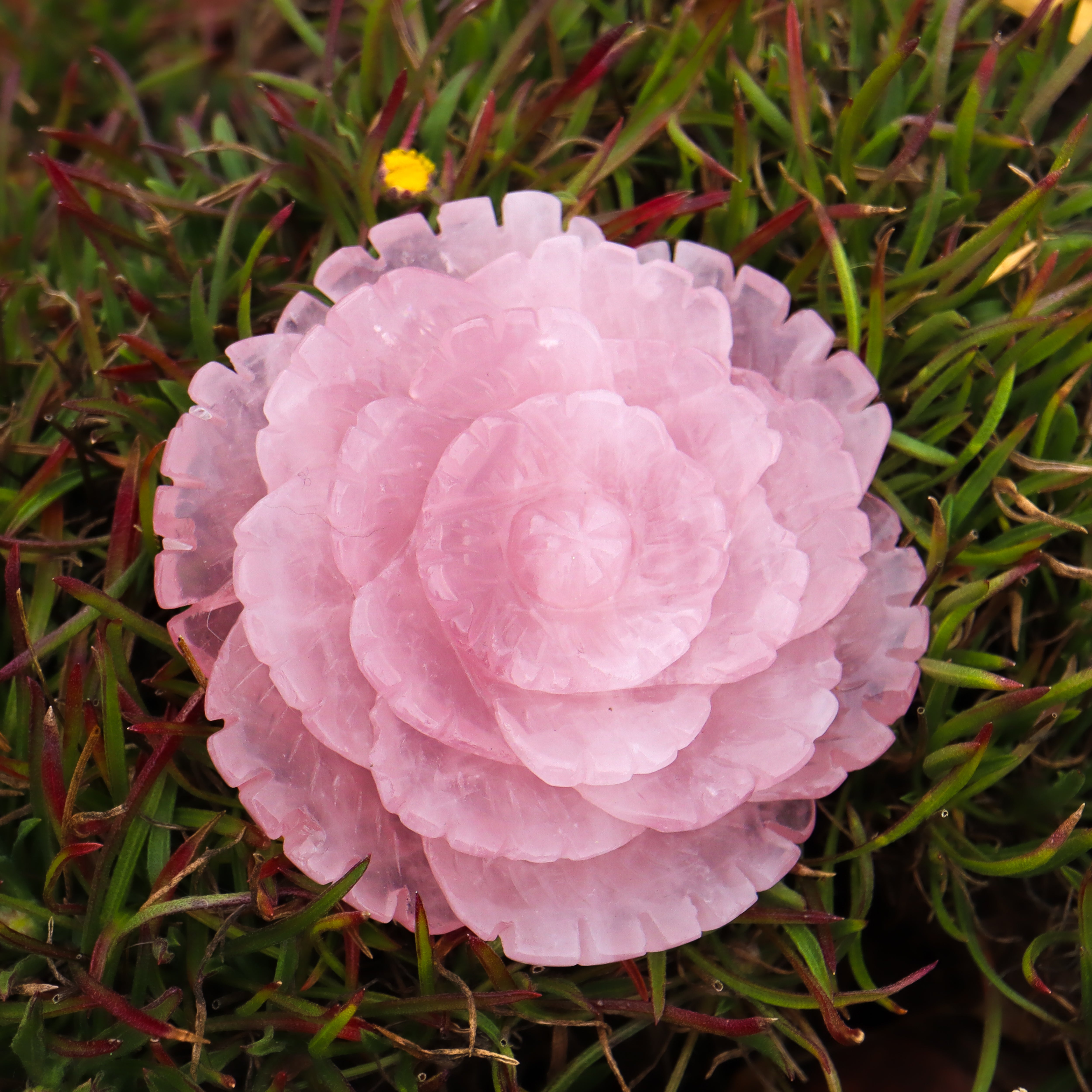 Rose Quartz Carved Flower