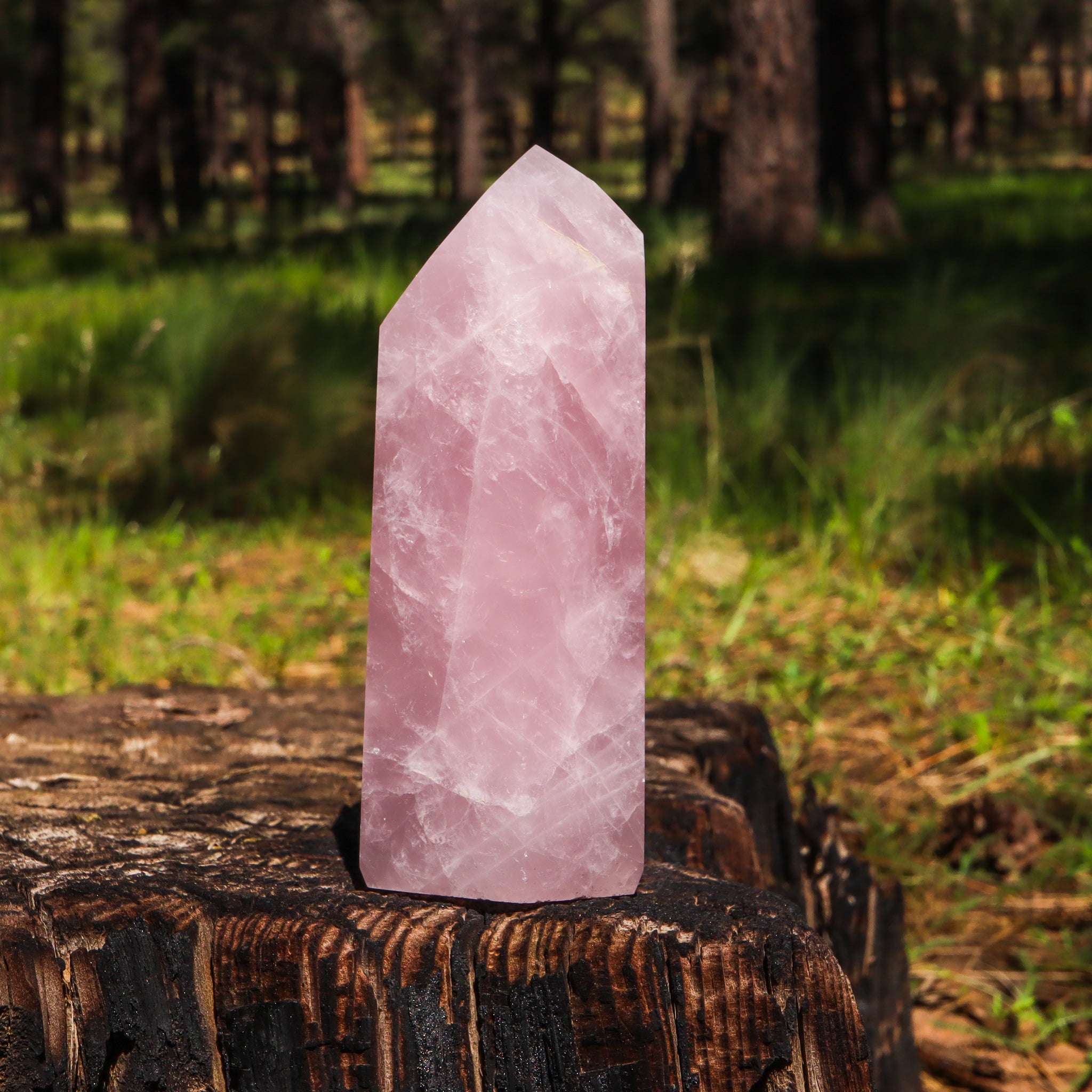 Large Rose Quartz Point