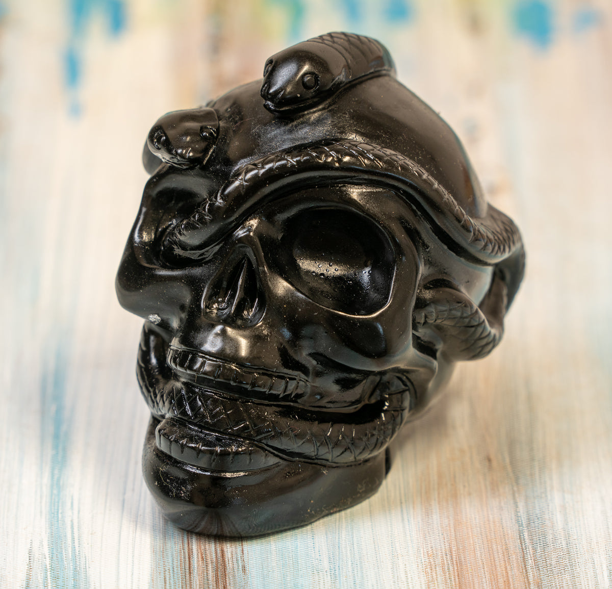 Obsidian Skull with Serpent