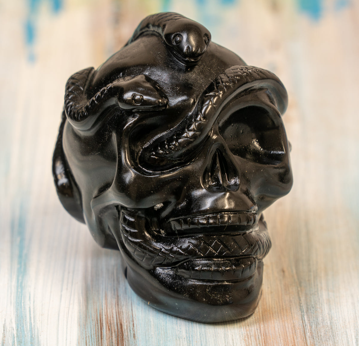 Obsidian Skull with Serpent