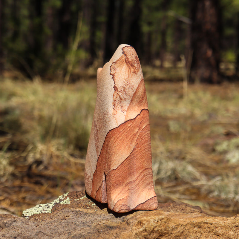 Picture Sandstone Howling Coyote