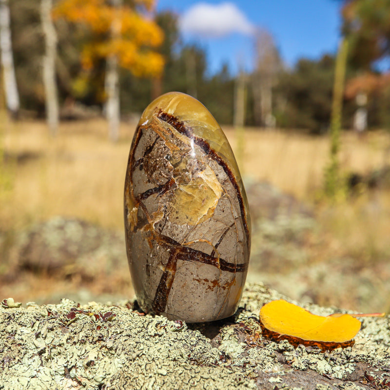 Septarian (Free Form)
