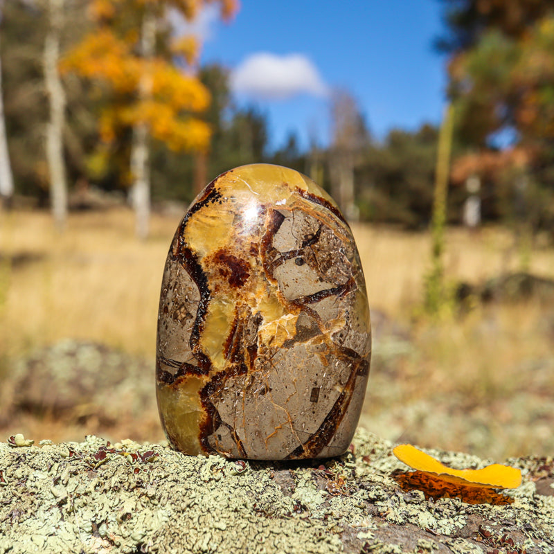 Septarian (Free Form)