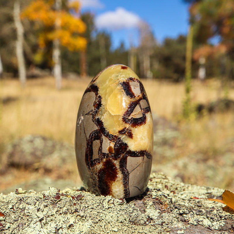 Septarian (Free Form)