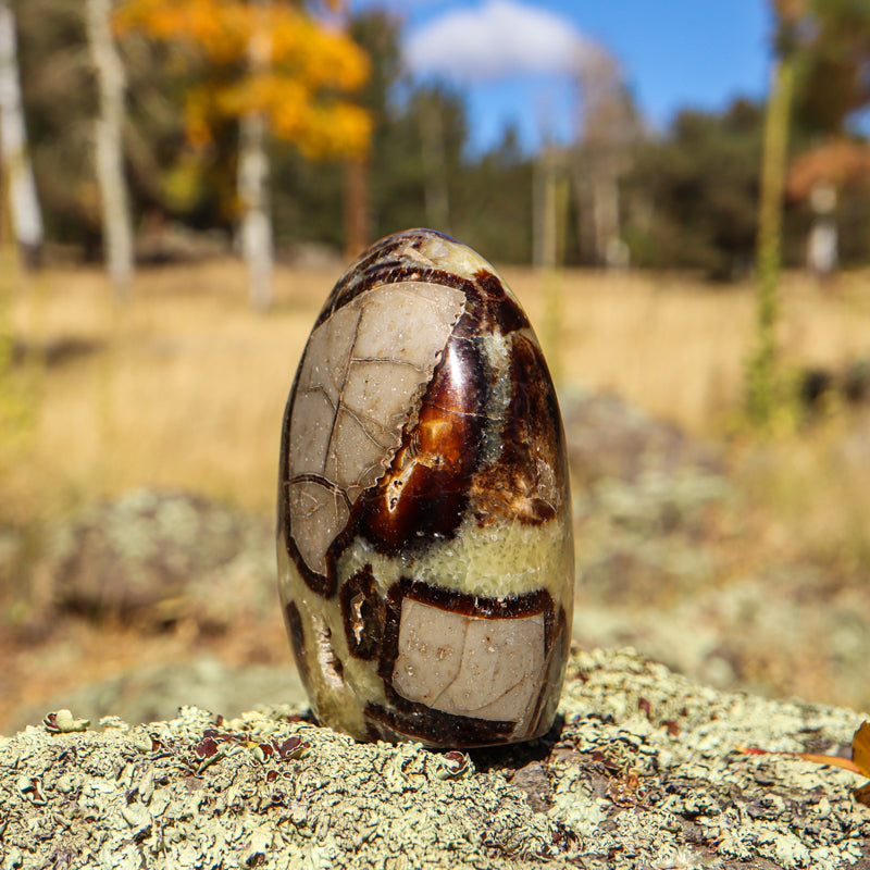Septarian (Free Form)